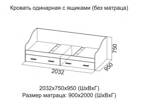 Кровать одинарная с ящиками (Без матраца 0,9*2,0) в Туринске - turinsk.magazin-mebel74.ru | фото