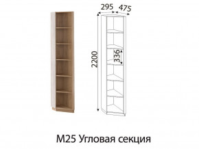 М25 Угловая секция в Туринске - turinsk.magazin-mebel74.ru | фото