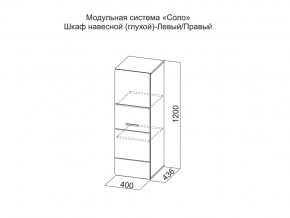 Шкаф навесной (глухой) Левый в Туринске - turinsk.magazin-mebel74.ru | фото